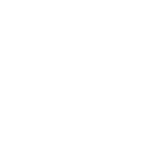 Anthropic